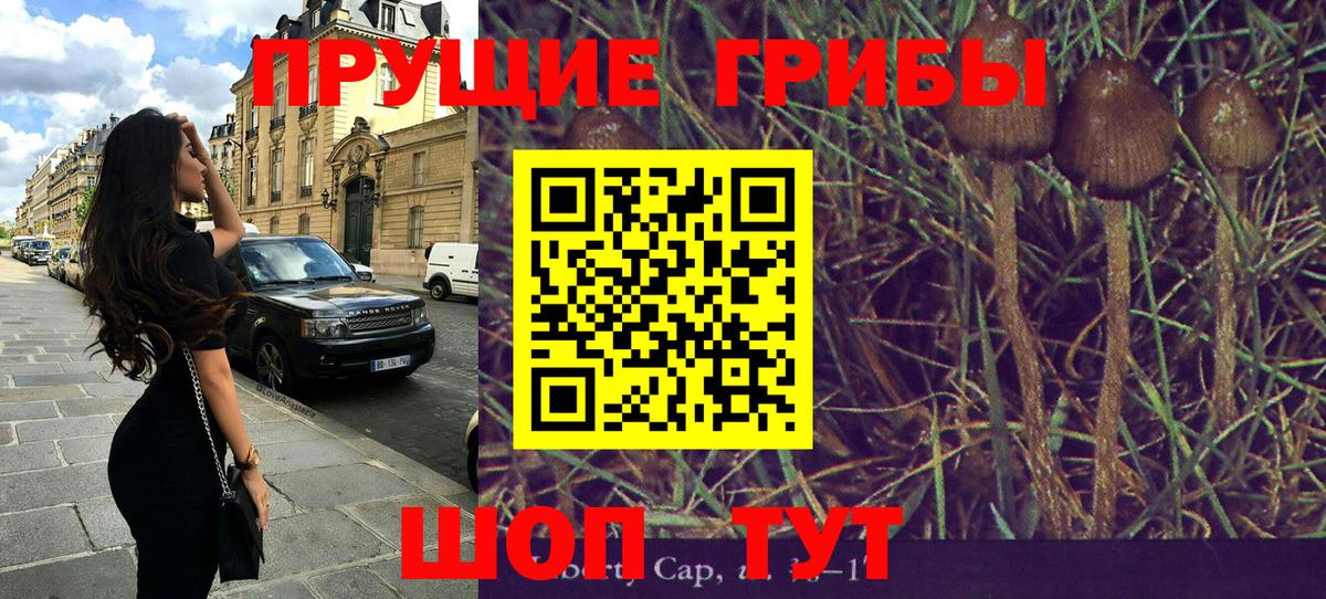 Псилоцибиновые грибы MAGIC MUSHROOMS  Вход с VPN  Ачхой-Мартан 