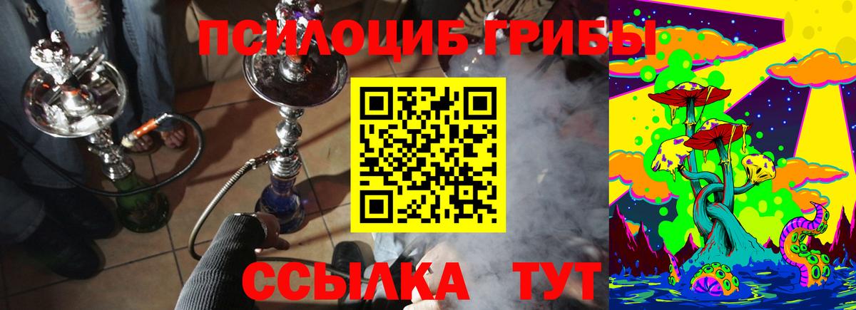 Псилоцибиновые грибы GOLDEN TEACHER Ачхой-Мартан